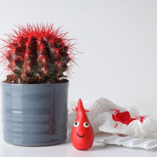 Riduzione dell’infiammazione e guarigione dei tessuti